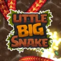 貪吃蛇(Little Big Snake)🐍